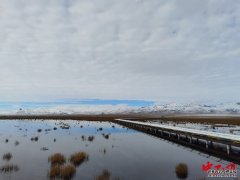 【母亲河畔的中国】生态修复见实效  花湖成“最美黄河蓄水池”